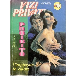 VIZI PRIVATI PROIBITO N.2 1994
